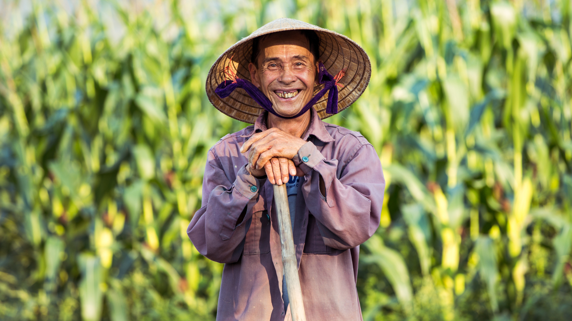 Mật ong rừng tự nhiên